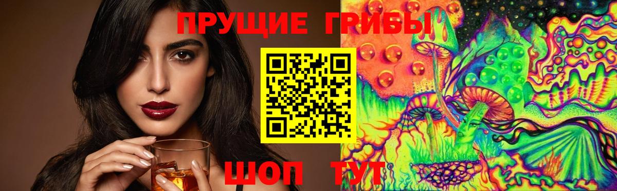 Торжок  Псилоцибиновые грибы Magic Shrooms  Псилоцибиновые грибы GOLDEN TEACHER  как найти наркотики  Вход с VPN 